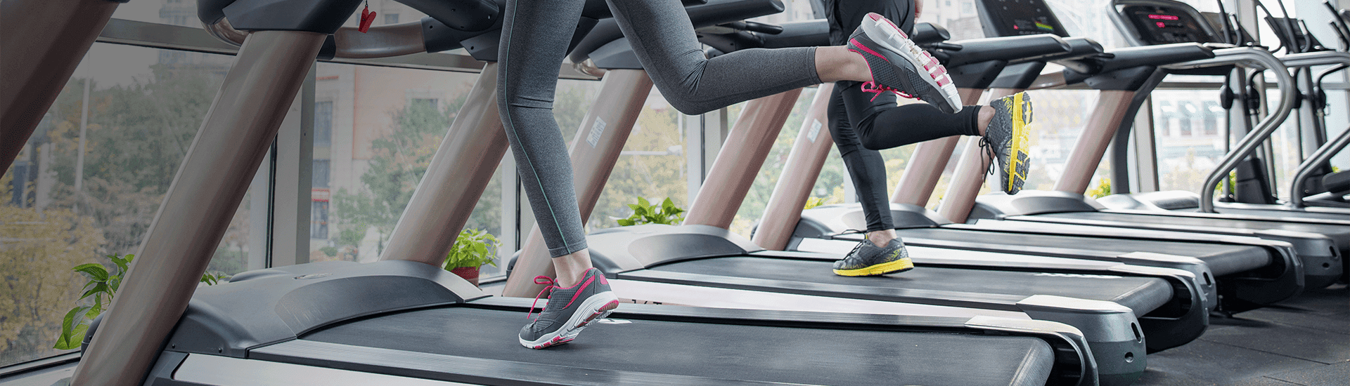 새로운 희망, 넘치는 활력, 즐거운 내일